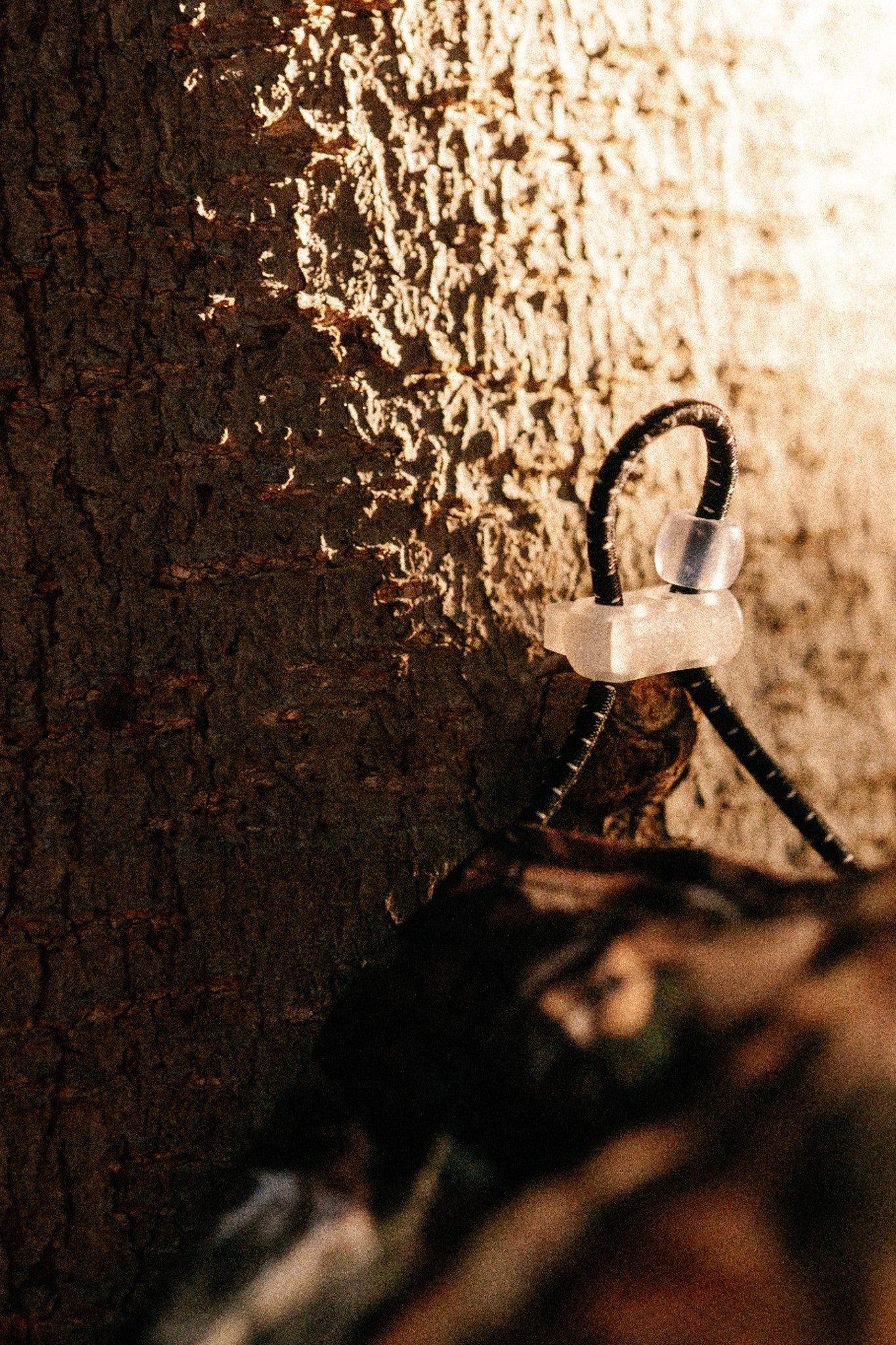 Winter 26 Collection - Camo Active Hats